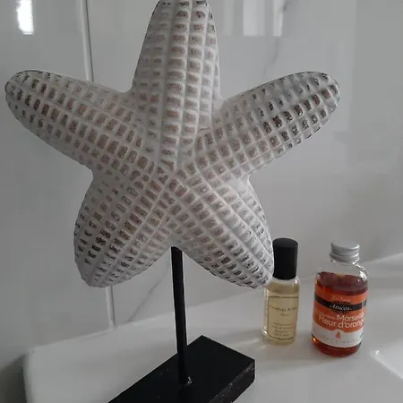 Yves Klein - Proche Gare Et Centre-ville- Entree Privee Remiremont