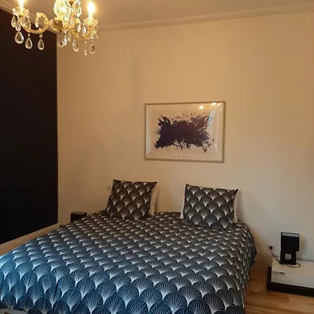 Yves Klein - Proche Gare Et Centre-ville- Entree Privee Remiremont