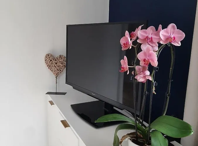 Yves Klein - Proche Gare Et Centre-ville- Entree Privee